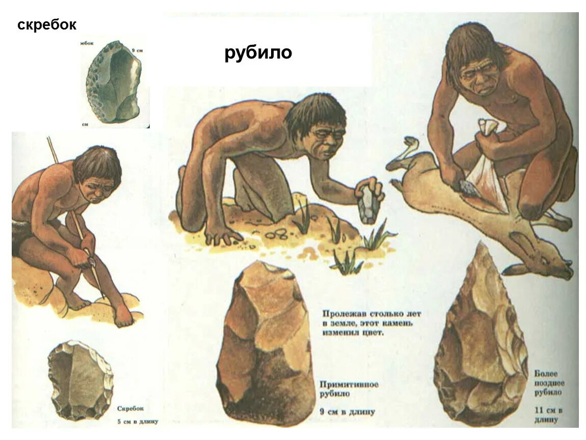 Древних людей. Орудия труда древнего человека. Древние люди. Примитивные орудия труда. Руби рассказ