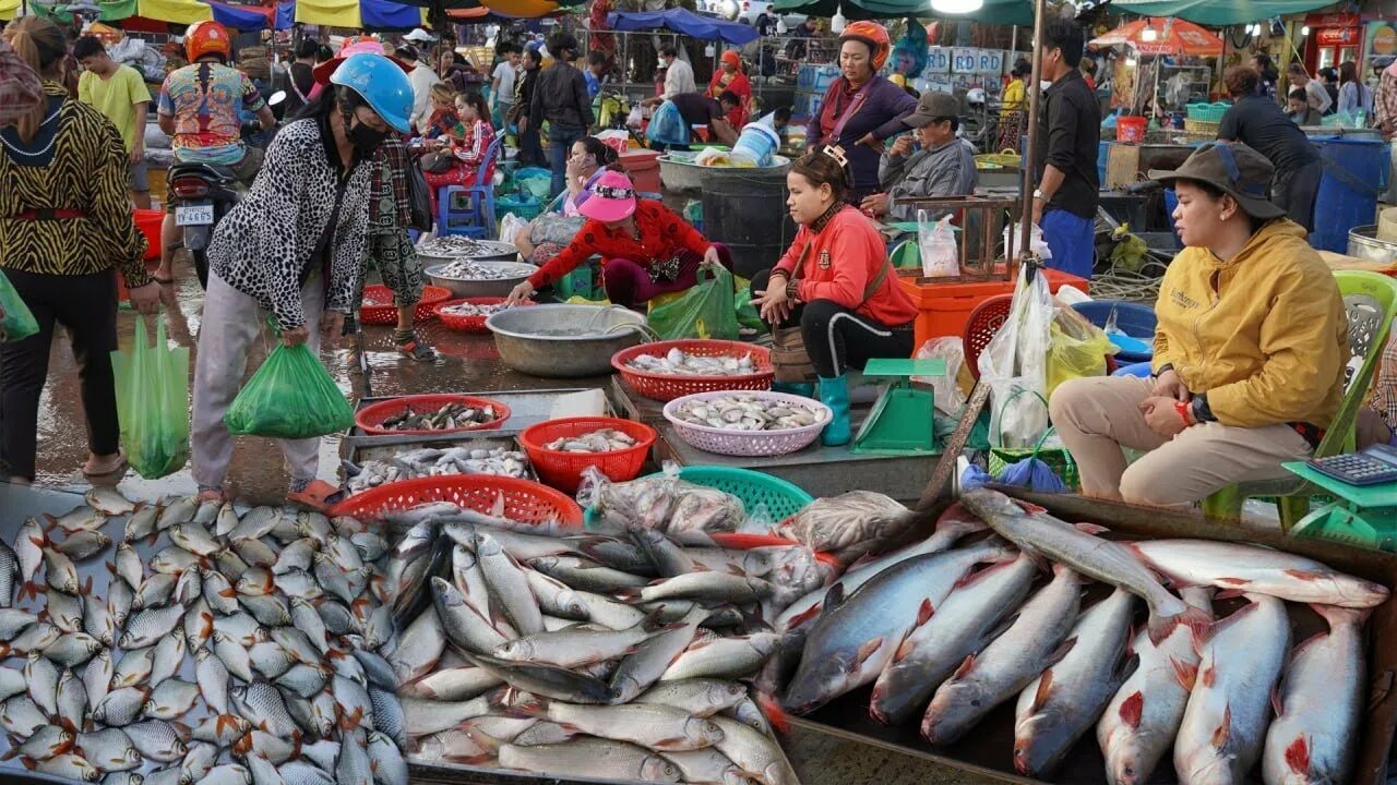 Купили на рынке рыбу. Рынок рыбка. Москва на волне рыбный рынок фото. Fish many or much.