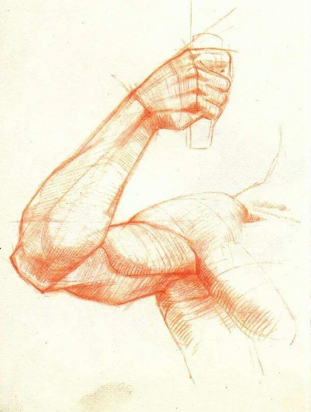 Рыжкин рисование. Готфрид Баммес руки. Готфрид Баммес анатомия руки. Готфрид Баммес кисти рук.