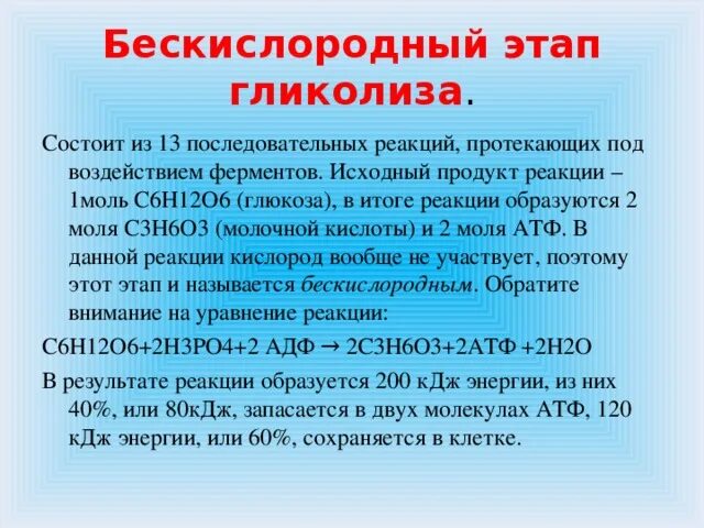 В бескислородных условиях живет. Бескислородный этап. Бескислородный этап это в биологии. Безкислородный или бескислородный. Продукты бескислородного этапа.