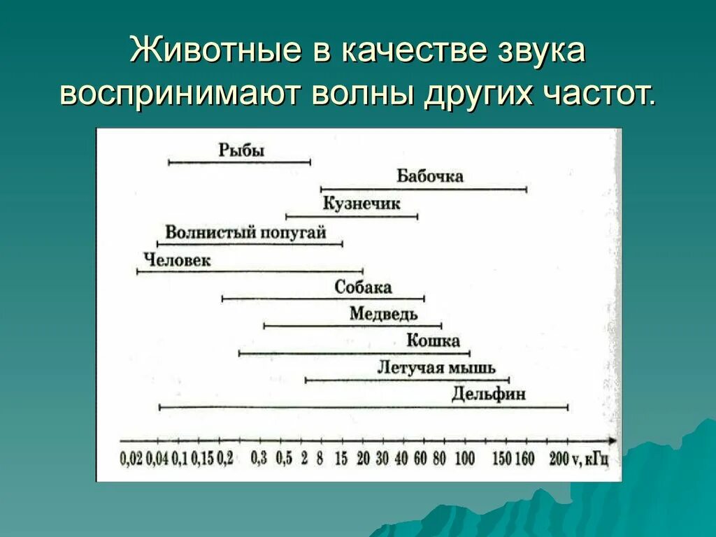 Звуковые волны воспринимаемые человеком. Звуковая волна не воспринимаемая человеком. Частота звука воспринимаемая человеком. Диапазон звуковых волн воспринимаемых человеком. Какой частоты звука не воспринимает человек.