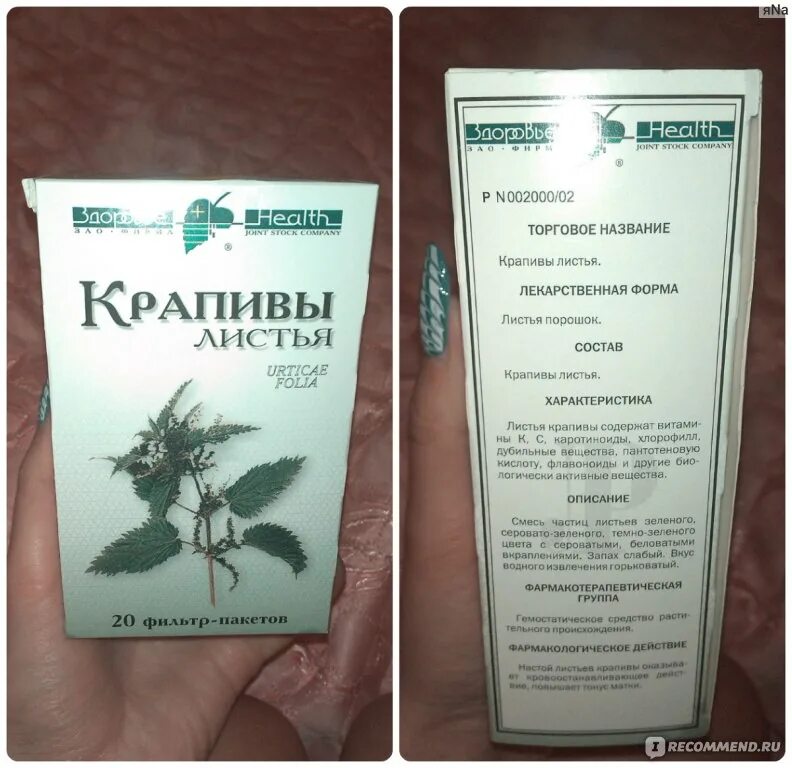 Экстракт крапивы. Настойка крапивы. Отвар крапивы для волос. Настой крапивы для волос. Лист крапивы инструкция