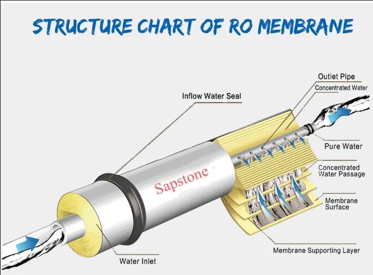 Membrane перевод