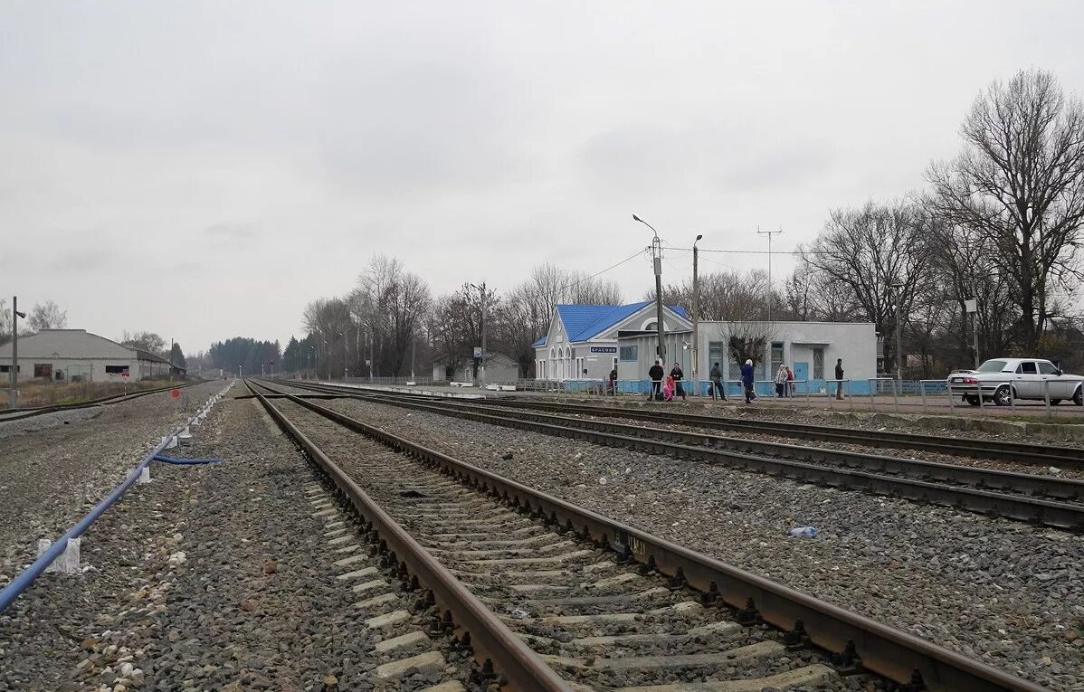 Станция Навля Брянская область. Село Брасово Брянской области. ЖД Брасово. Локоть Брасово ЖД станция.