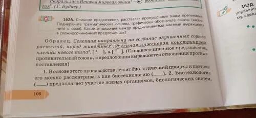 Спиши предложения подчеркни основы. Спишите расставляя пропущенные знаки препинания подчеркните. Спиши предложения подчеркни грамматические основы. Спишите подчеркивая грамматические основы предложений и расставляя. Спишите предложения выделяя грамматическую основу графически.