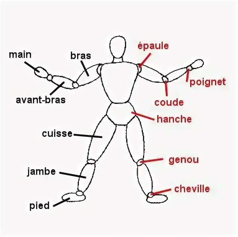 Вторая форма Port de Bras рисунок. Le Bras какая часть руки. Le main