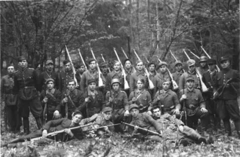 Украинские повстанческие