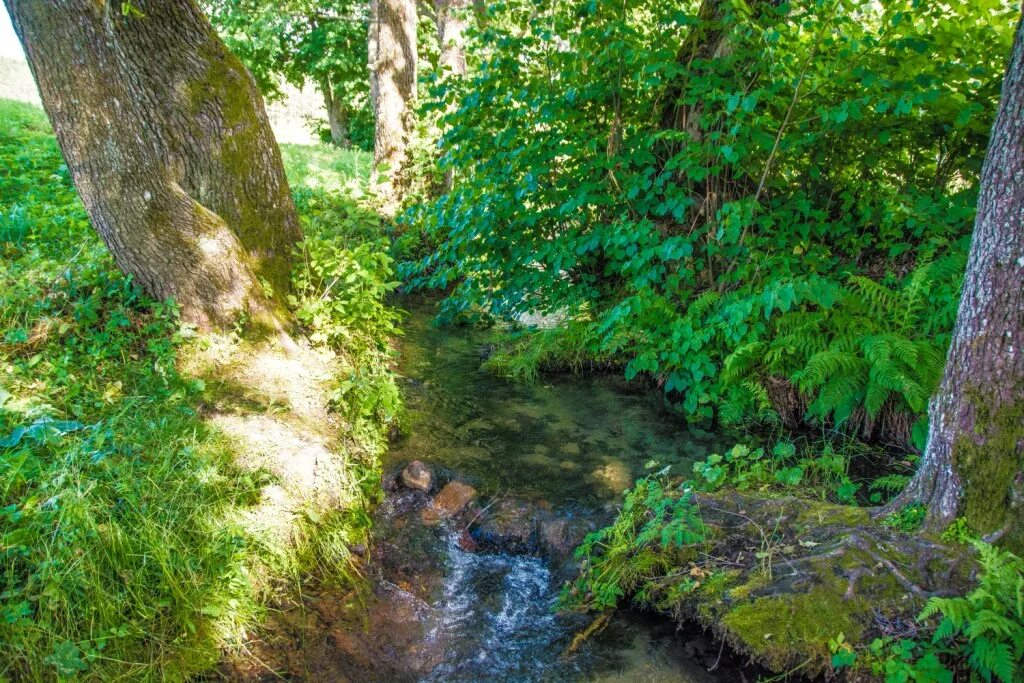 станция горкино родниковский район. река донинка родник. родник родничок. старый дедин климовичский район. родники дорога.