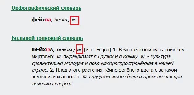 Род фейхоа в русском языке. Фейхоа ударение. Фейхоа род существительного в русском языке. Фейхоа какой род существительного в русском языке.