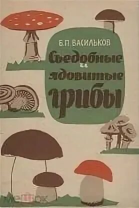 Васильков книги