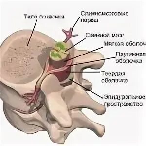 Компрессия дурального мешка что это