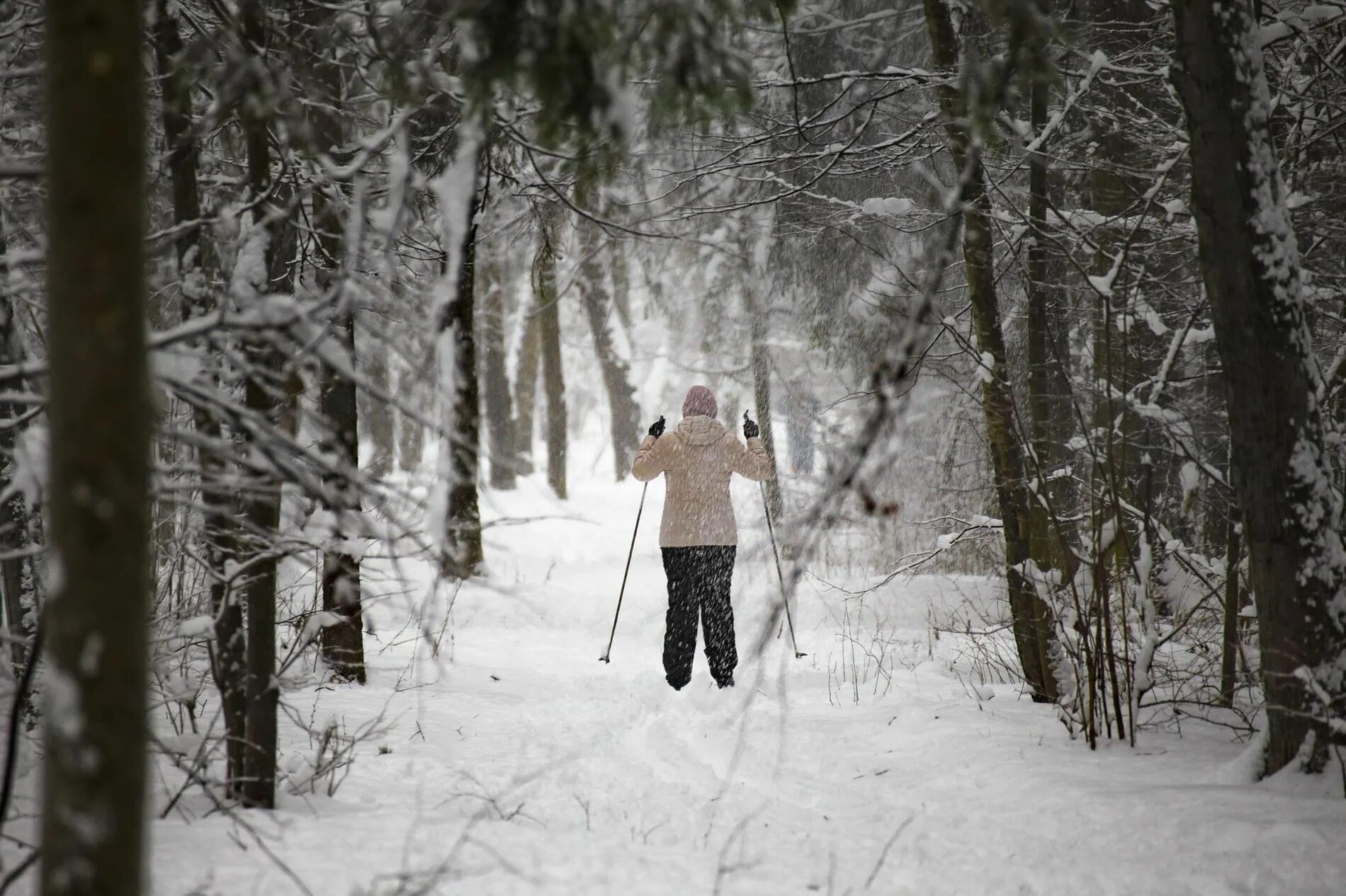В лесу зимой можно. Девушка на лыжах в лесу. Прогулка в зимнем лесу. Зимняя фотосессия в лесу. Человек в зимнем лесу.