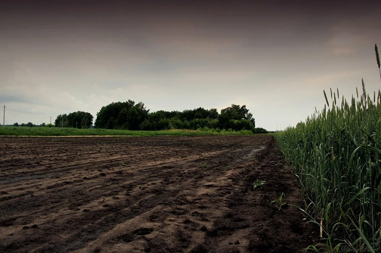 вспаханное видеть во сне. вспаханное видеть во сне. осознанные сны. уставший человек в поле. чистое вспаханное поле.