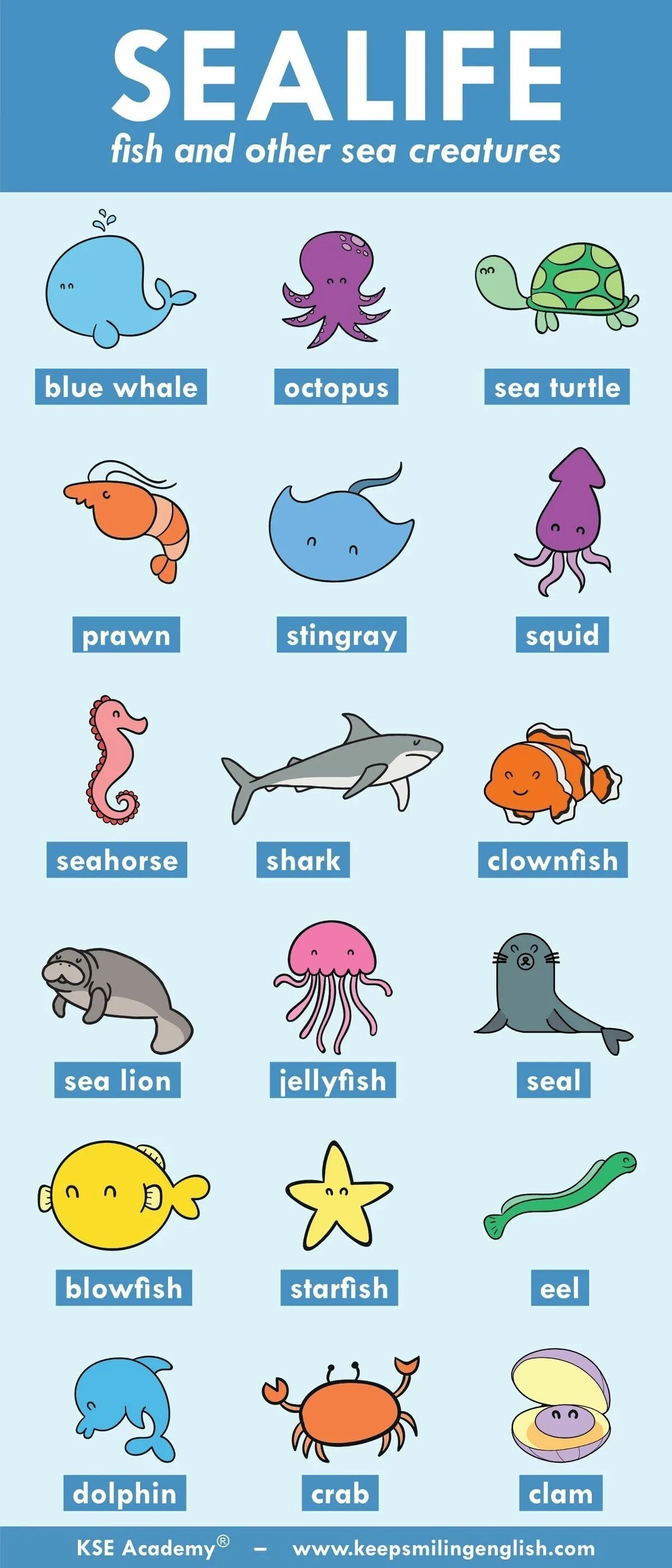 Как будет по английскому морская. Морские животные по английскому. Морские животные на англ. Название морских животных. Морские животные на английском языке для детей.