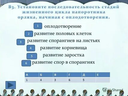 Установите верную последовательность событий начиная с оплодотворения