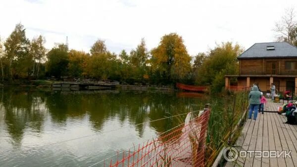 Кутузово рыбалка. Машков парк рыбалка. Рыбалка 2021. Юсупово пруд. Рыбалка кутузова сегодня.