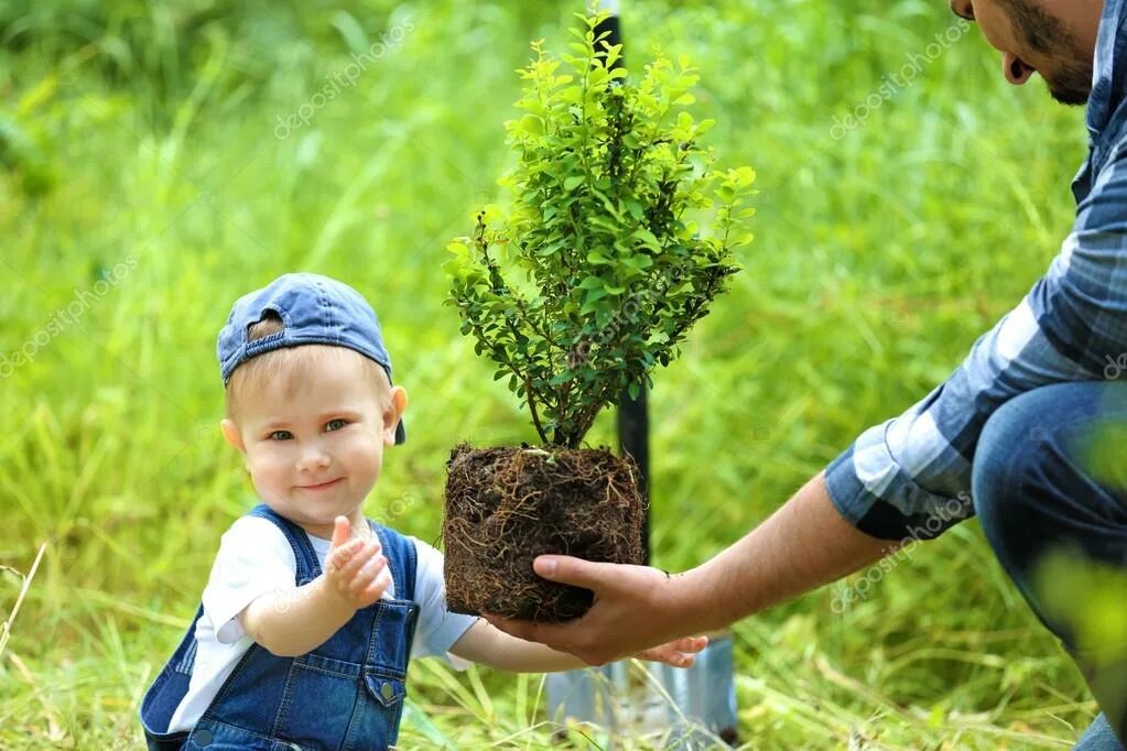 Вырасти профессионально. Посадка деревьев. Дети сажают деревья. Дерево для детей. Посадка деревьев картинки.