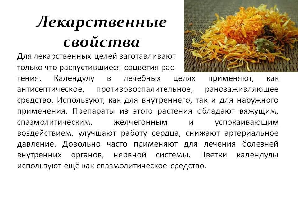 Целебные свойства ноготки календула. Цветы ноготки лечебные свойства. Цветки календулы польза и вред. Календула лекарственная описание растения для чего. Цветок лечебной календулы.