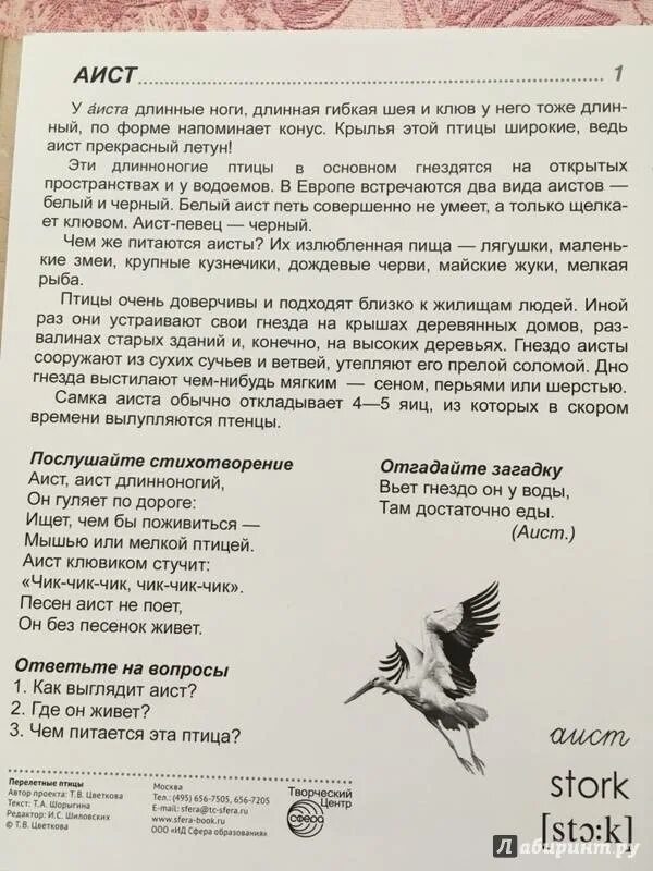 Ротару аист на крыше текст. Аист на крыше текст. Песня Аист. Текст песни Аист. Стих Аист на крыше.