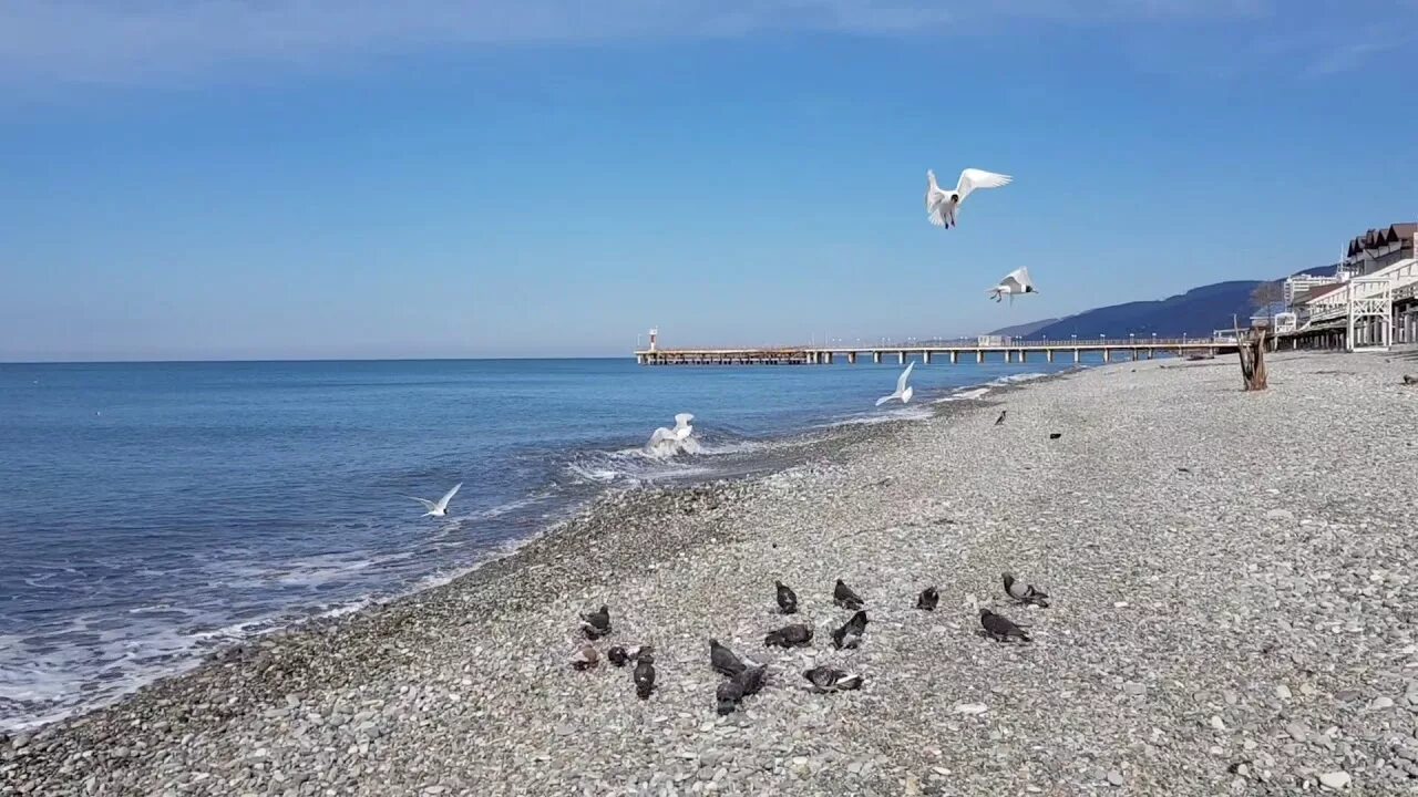 Лазаревка море черное. Лазаревка море Лазаревка. Черное море Лазаревское зимой. Море зимой Лазаревское 2021.