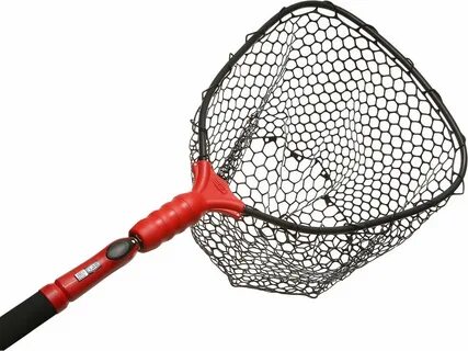 Net ego