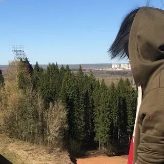 Фамилия дей