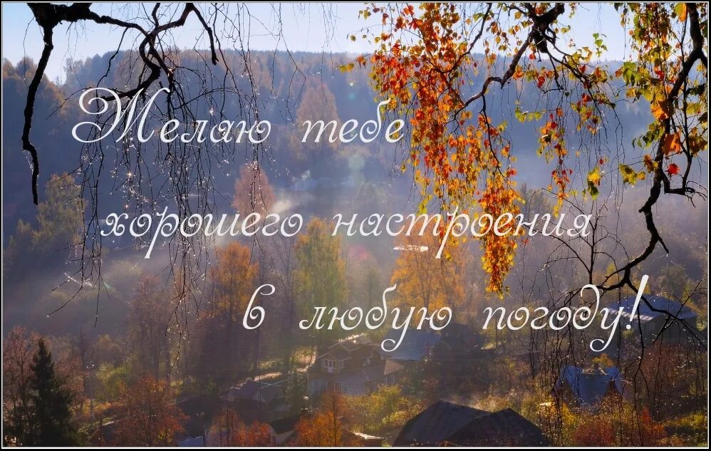 Конец сентября ветер треплет. С добрым осенним дождливым утром. С до.рым осеним дождливым утром. Добрые пожелания в дождливый день. Доброго осеннего дождливого утра и хорошего дня.