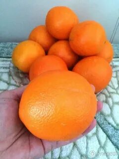 Хочешь апельсинов