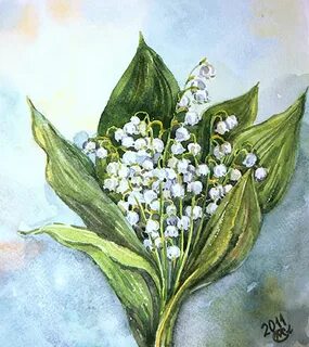 Рисование ландыши