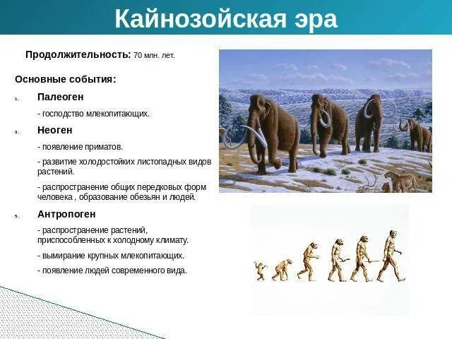 Кайнозойская эра периоды таблица. Этапы развития жизни кайнозойской эры. Этапы жизни кайнозойской эры. Этапы жизни кайнозойской эры. Эры кайнозойской эры.