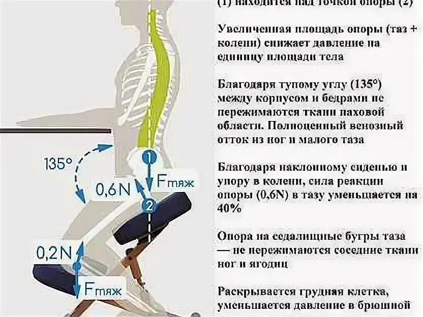 Прямо спинного. Балансирующий коленный стул. Коленный стул распределение нагрузки. Как держать спину. Коленный стул своими руками чертёж с размерами.