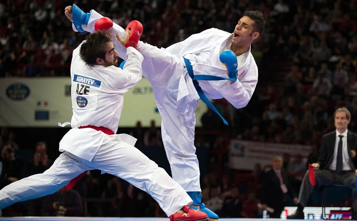 Каратэ кумитэ. Кумите Агаев. Кумитэ WKF. Каратист кумите