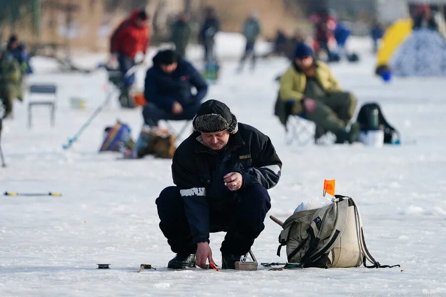 Рыбалка в калининграде сегодня. Зимняя рыбалка в Калининграде 2021. Рыбалка в Калининграде 2022. Рыбаки Калининграда 2022год аагусте набережная приголи. День рыбака в Калининграде.