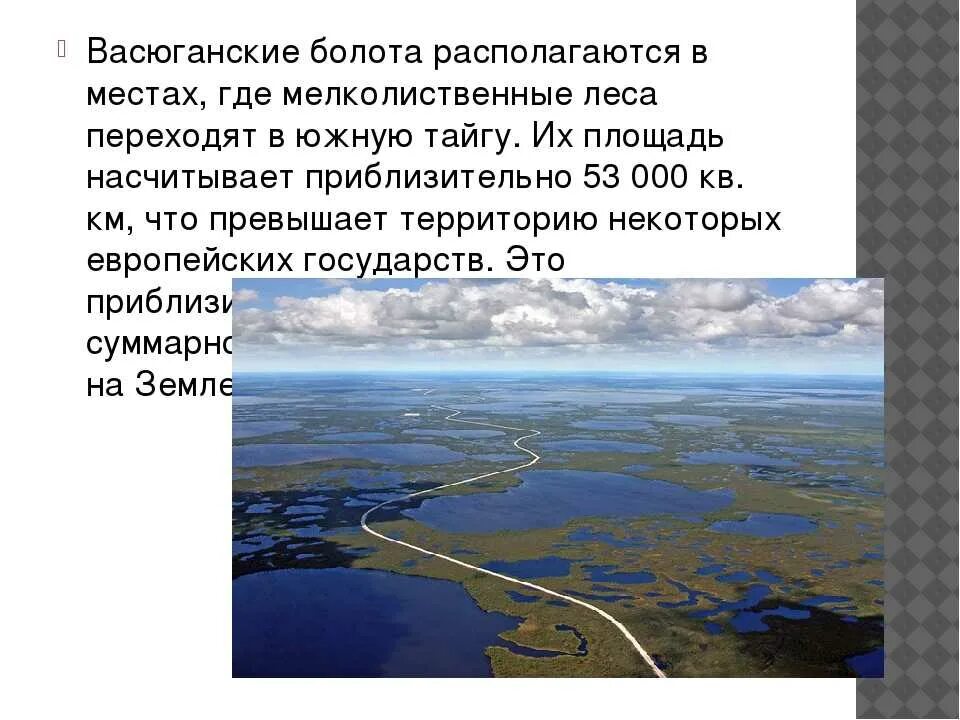 Более 10 территории россии занимают болота можно. Васюганские болота заповедник на карте. Васюганские болота на карте России. Васюганские болота заповедник на карте России. Большое Васюганское болото на карте России.