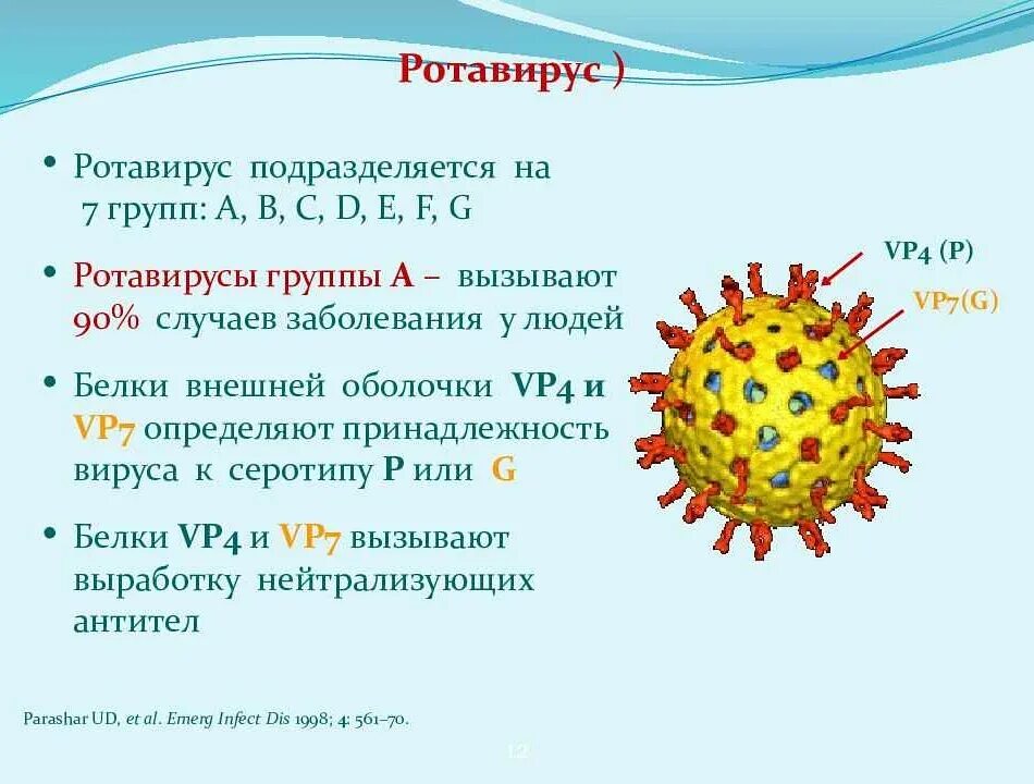 Тип вируса ротавирус. Возбудитель ротавирусной инфекции. Ротавирус строение вируса. Ротавирусная инфекция строение.