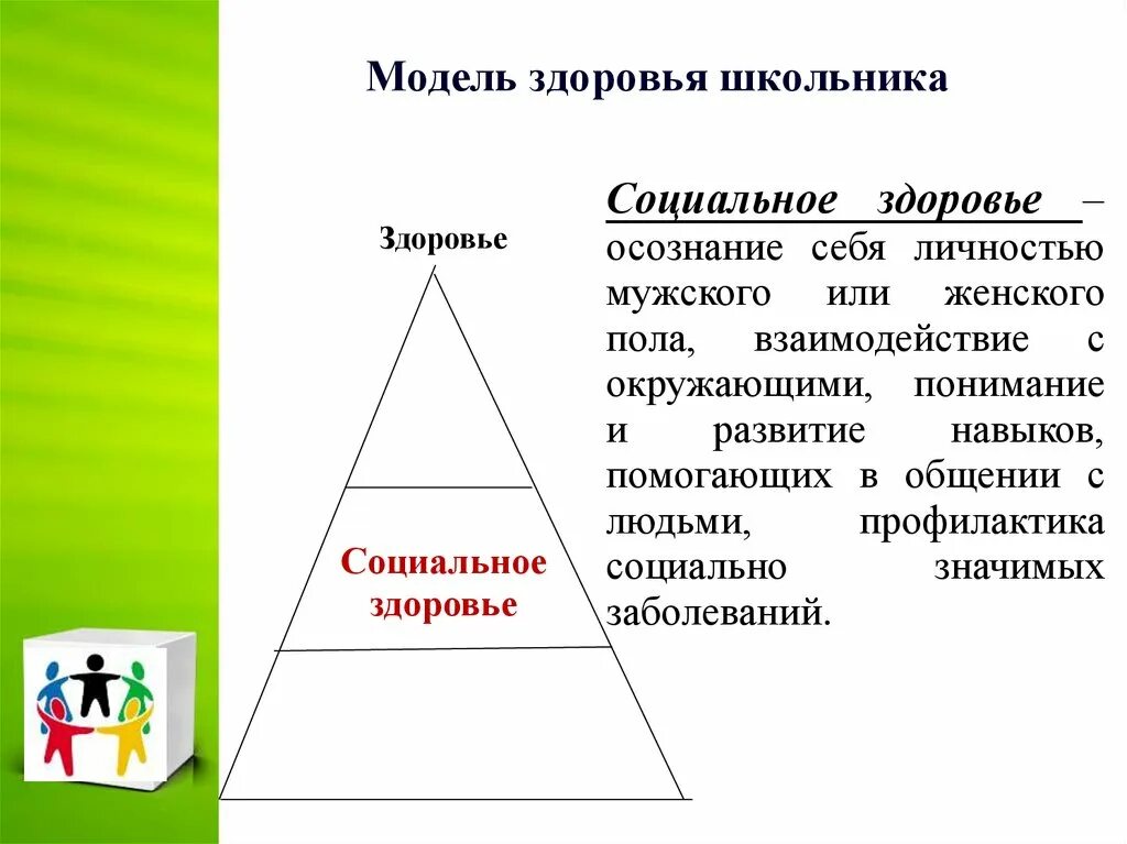 Почему здоровье человека является общественной ценностью. Модели здоровья. модель здоровья человека. модель здоровья школьника. модель здоровья школьника обж.