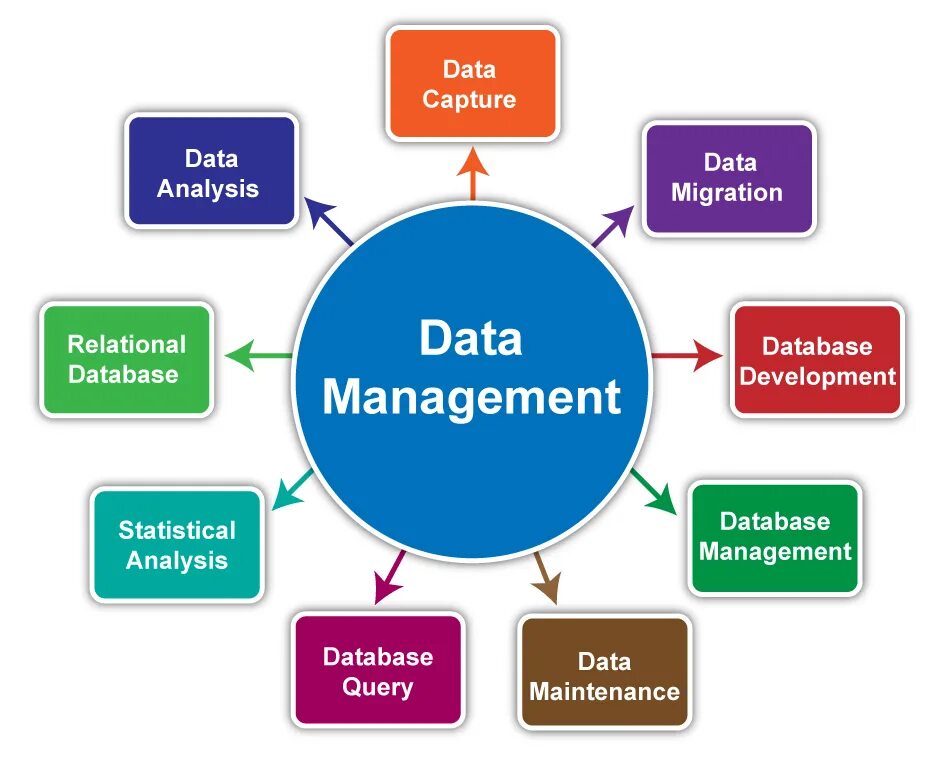 Day process. Data Management. Менеджмент. Презентация data Analysis. Master data Management логотип.