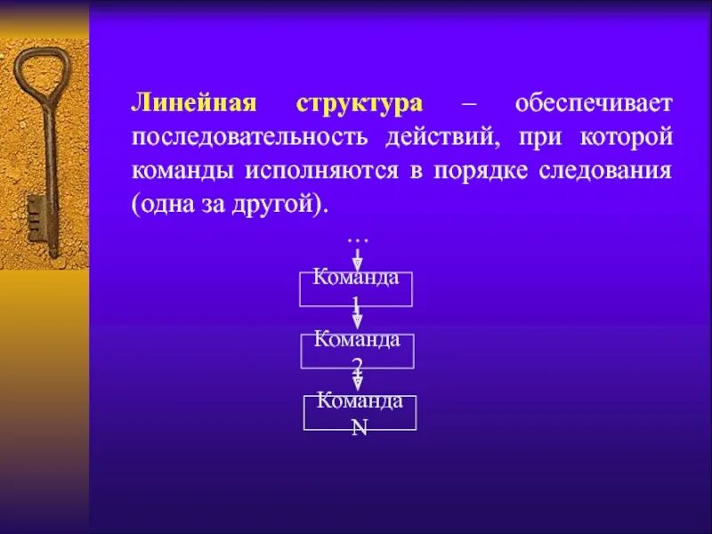 Команды в порядке их следования. Следование в паскале. Алгоритмизация линейные алгоритмы. Исполнитель алгоритма это в информатике. Алгоритмы.