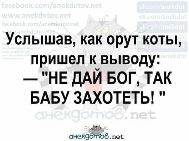 Услышав как орут коты пришёл к выводу. Услышав как орут коты пришёл к выводу не дай Бог так бабу захотеть. Не дай Бог так бабу захотеть анекдот. И после пришла к выводу что