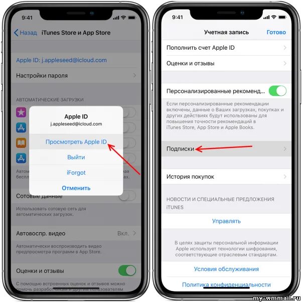 Аккаунт ап стор. Платные подписки на айфоне. Подписка в приложении. Отменить списание денег за подписку. Возврат айфона.