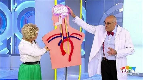 Приложение мое давление из передачи жить здорово