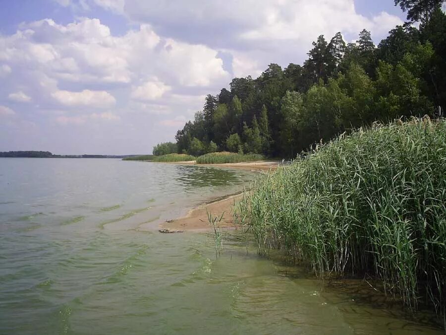 Старые майны