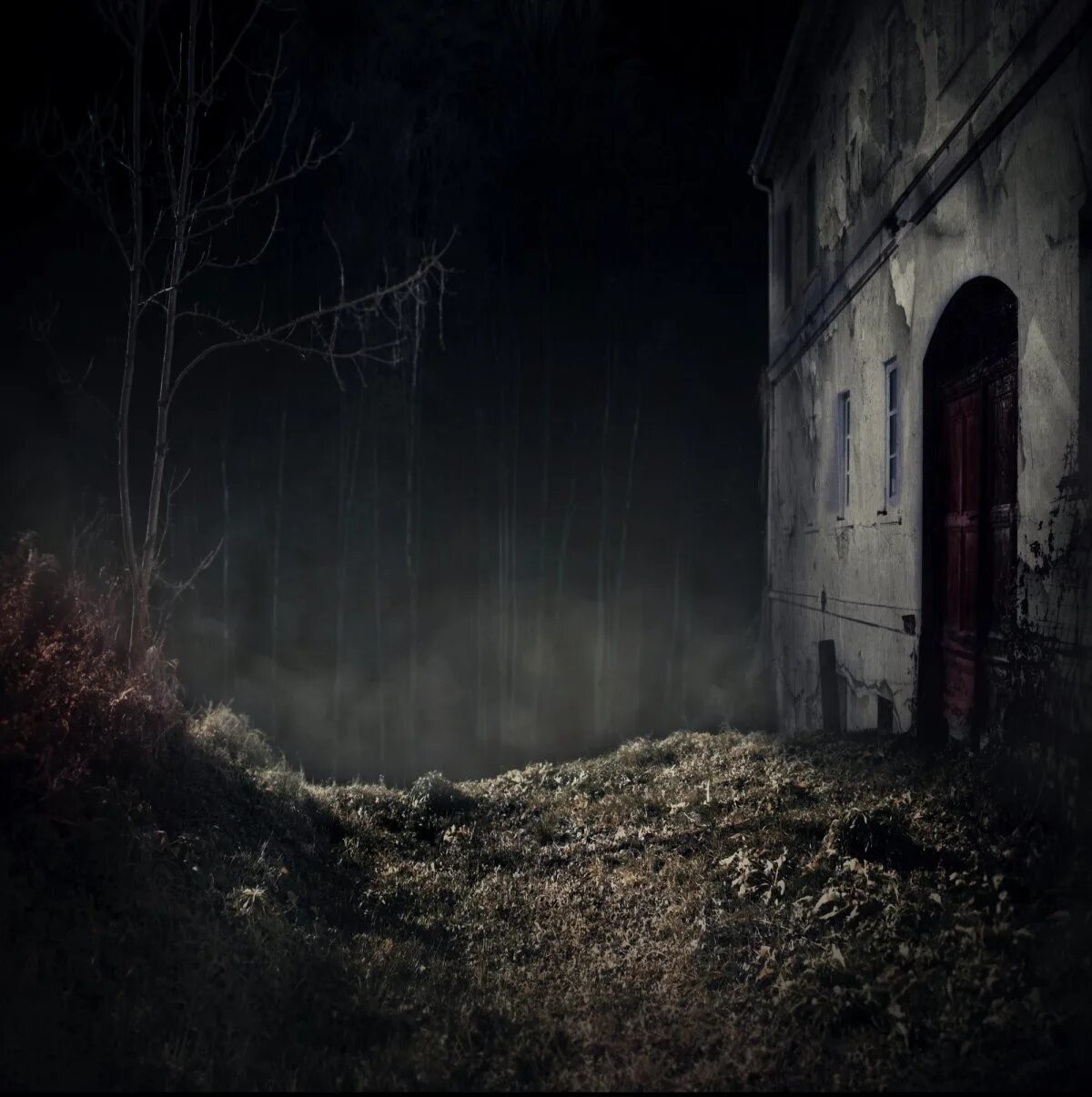 страшный лес. жуткий лес. страшный лес.