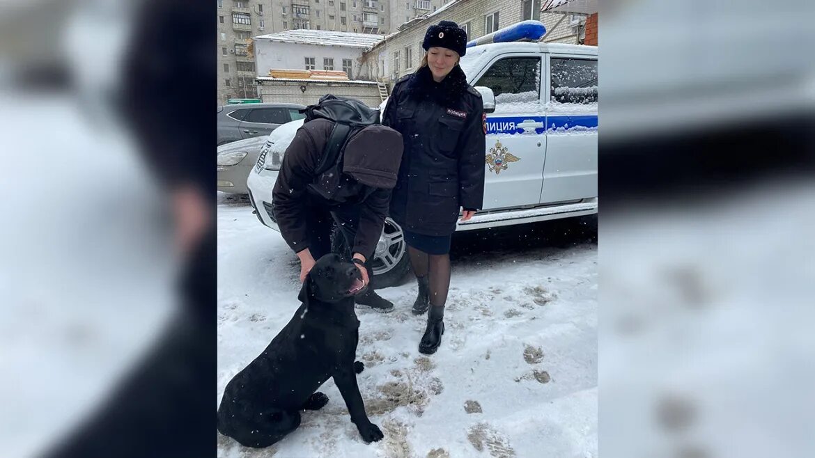 Женщина гуляла с собакой белгород. Фото полицейского. Собаки в полиции. Полицейский с собакой. Сотрудник МВД.