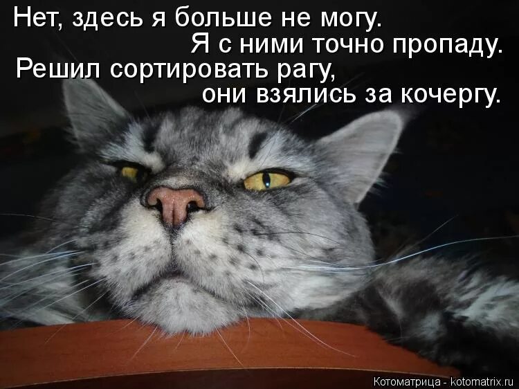 Не было печали глава 230. Я В печали. Ya v pechale. Прочь грусть. Отстаньте я в печали.