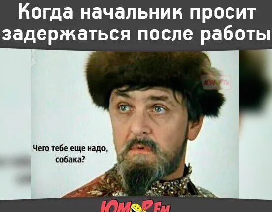 Попросили задержаться. Когда начальник просит задержаться после работы. Чего тебе еще надо собака. Когда попросили задержаться на работе. Когда шеф попросил задержаться на работе.