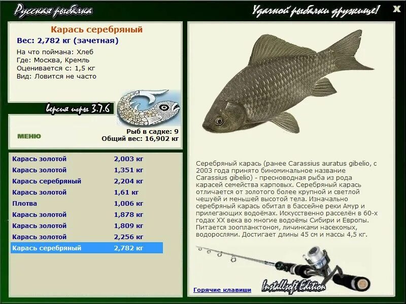 Какой вес карася. Русская рыбалка 3 карась золотой на озере турнир. Серебряный карась. Пресноводная рыба семейства карповых. Род карповые рыбы.