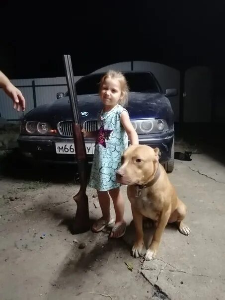 Держи питбуля