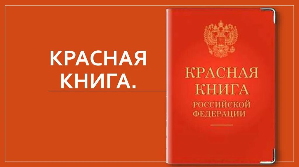 Красную книгу видео
