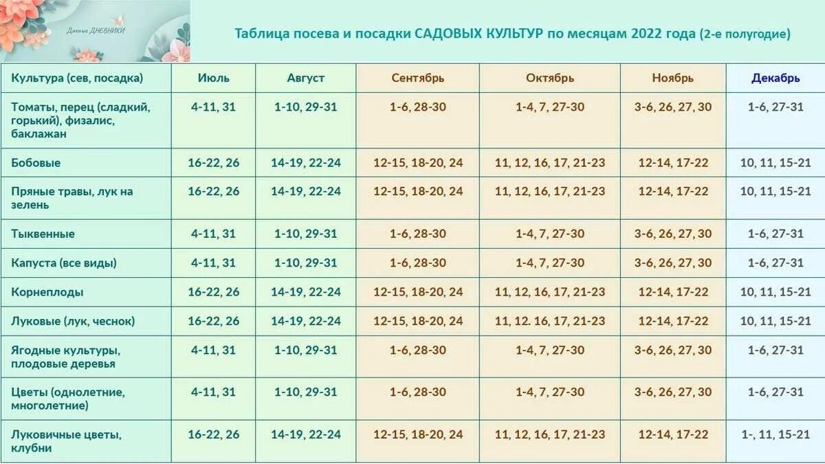 Пересадка цветов в декабре 2025